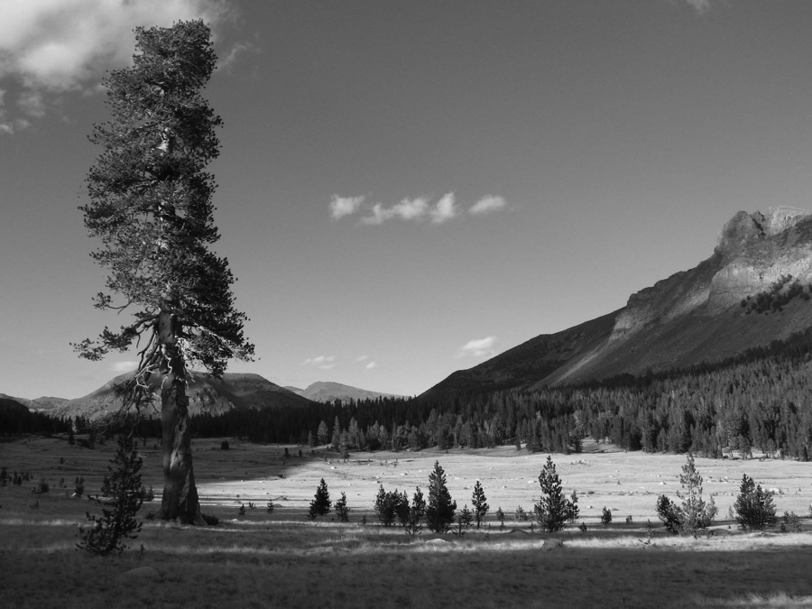 Photography by hitchcock for DesignCrowd (Community Contests) | Design #8955012