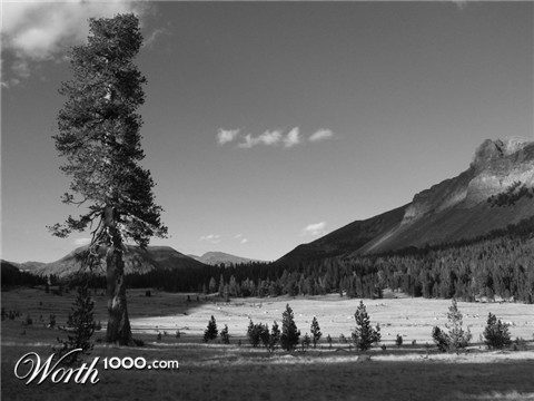 Photography by hitchcock