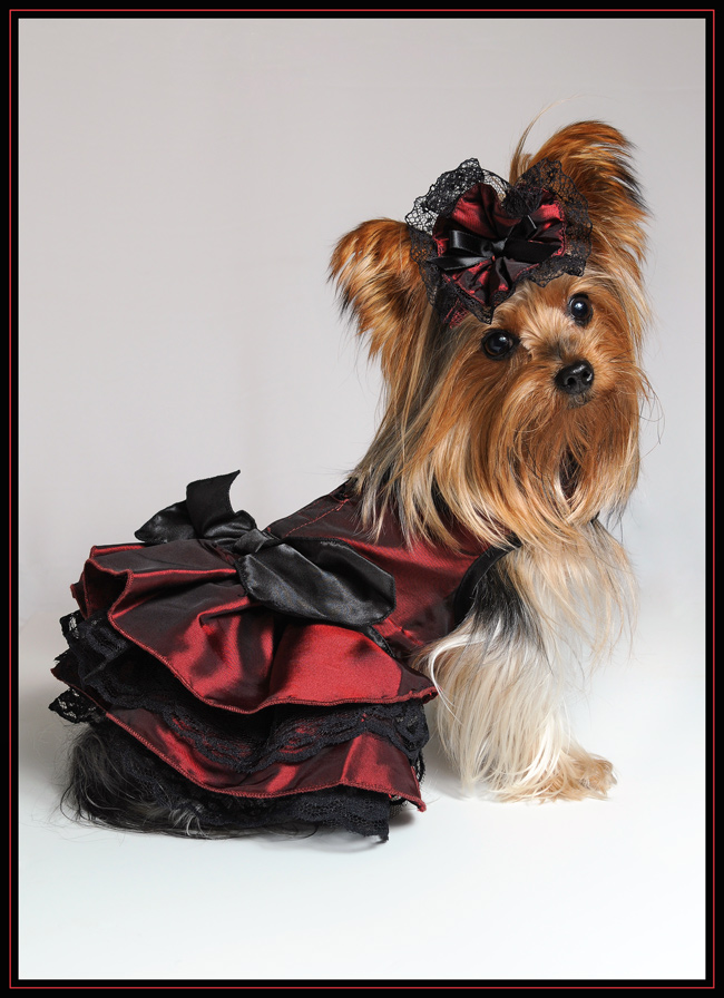 Photography by Fishcat for DesignCrowd (Community Contests) | Design #8957901