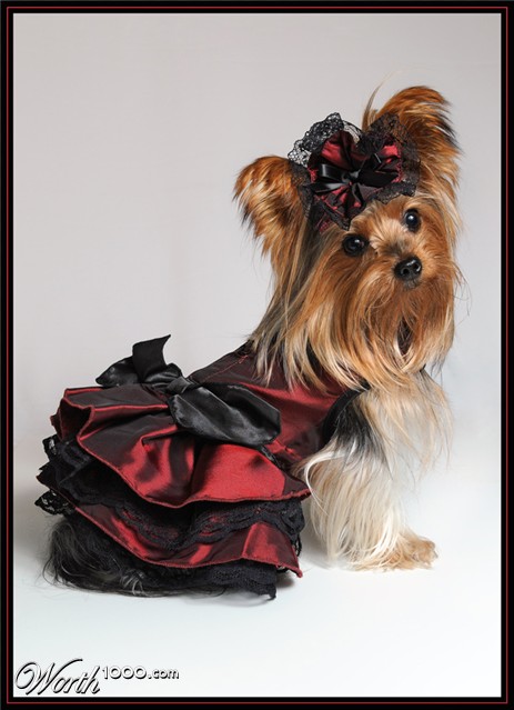 Photography by Fishcat