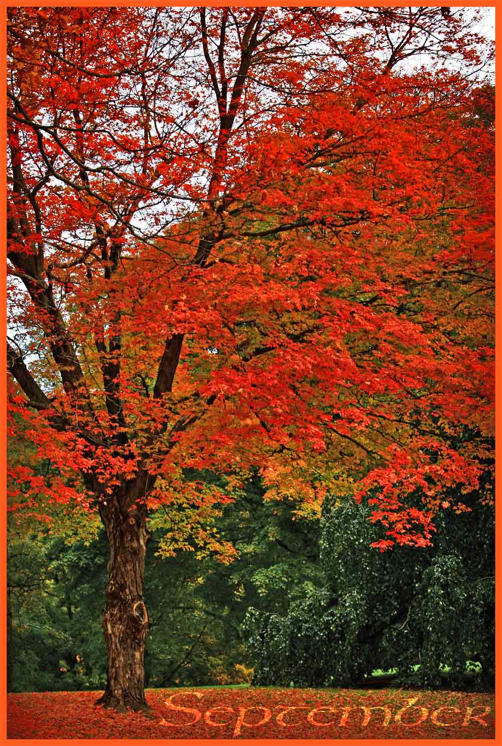 Photography by padawan71 for DesignCrowd (Community Contests) | Design #8957377