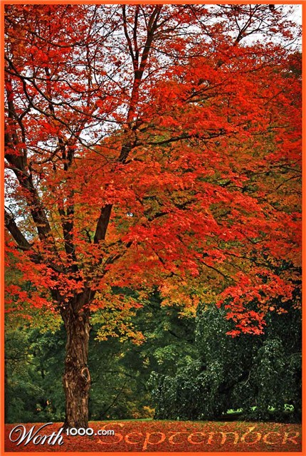 Photography by padawan71