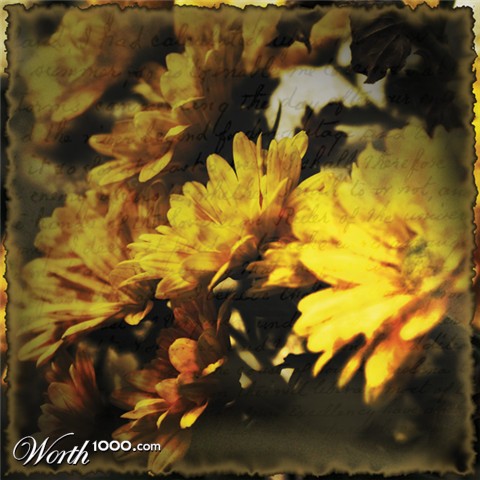 Photography by gguggino1