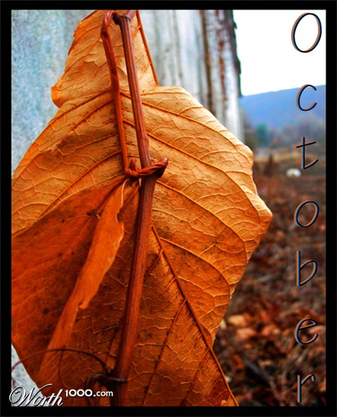 Photography by sbrundage09