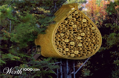 Photoshop Design by MrMohiuddin