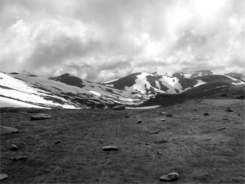 Fotografía por tor1xo para DesignCrowd (Community Contests) | Diseño #8954996