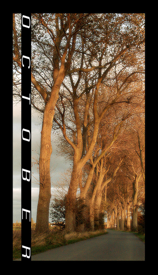 Fotografía por stewacrowd para DesignCrowd (Community Contests) | Diseño #8957390