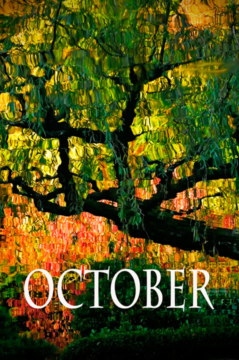 Photography by frankacaba for DesignCrowd (Community Contests) | Design #8957368