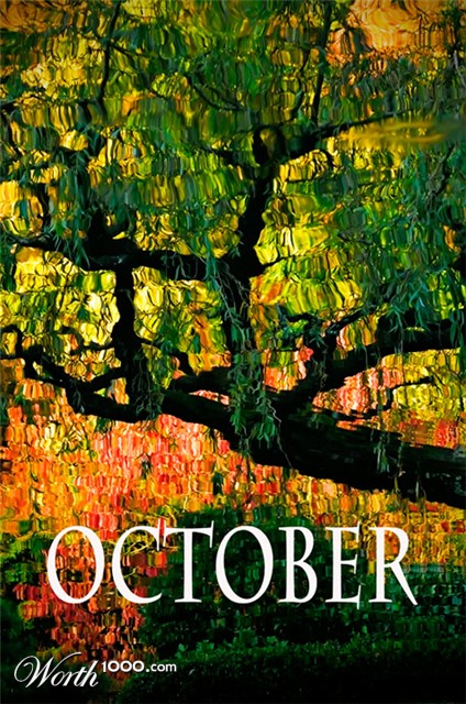 Photography by frankacaba