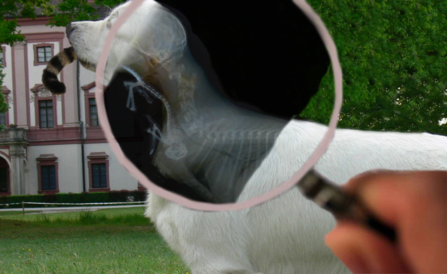 Photoshop Design by uksweetheart for DesignCrowd (Community Contests) | Design #8958392