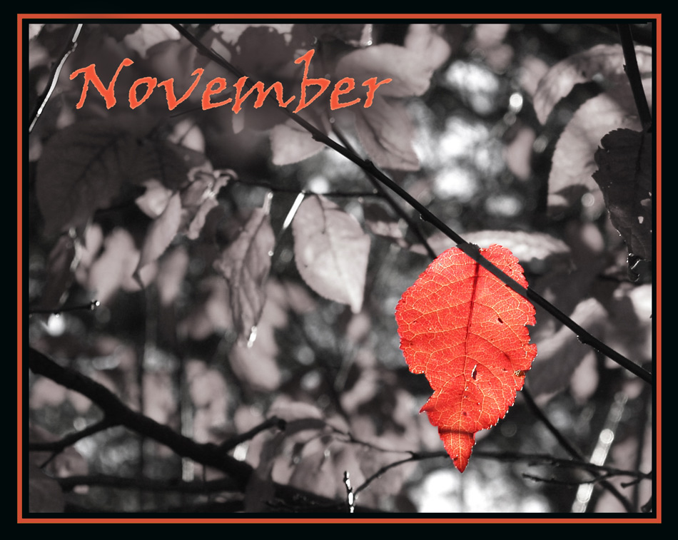 Photography by redcats for DesignCrowd (Community Contests) | Design #8957429