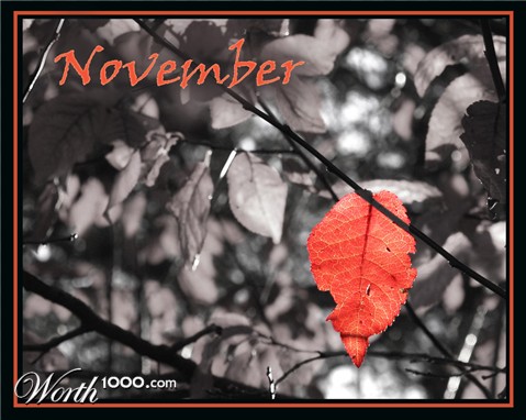 Photography by redcats