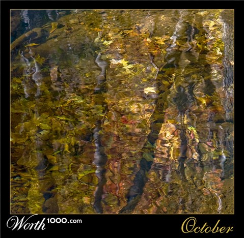 Photography by clayfrog