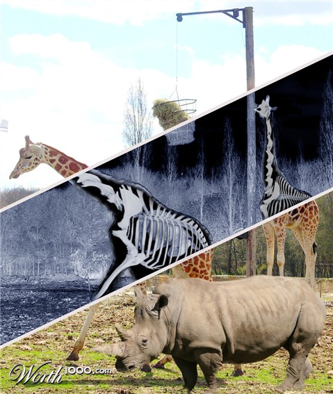 Photoshop Design by jrsoares