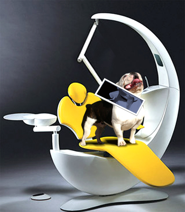 Design Photoshop par MrMohiuddin pour DesignCrowd (Community Contests) | Design #8958401