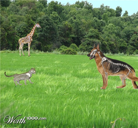 Photoshop Design by meeraki18
