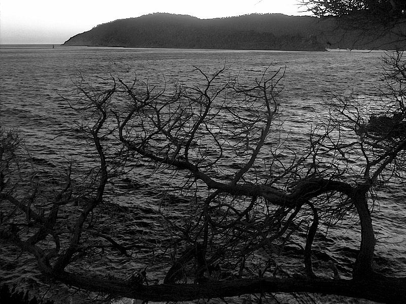 Photography by Manatee for DesignCrowd (Community Contests) | Design #8954889