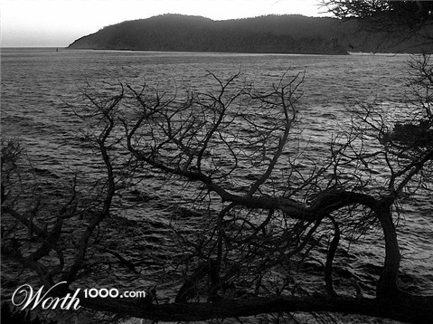 Photography by Manatee