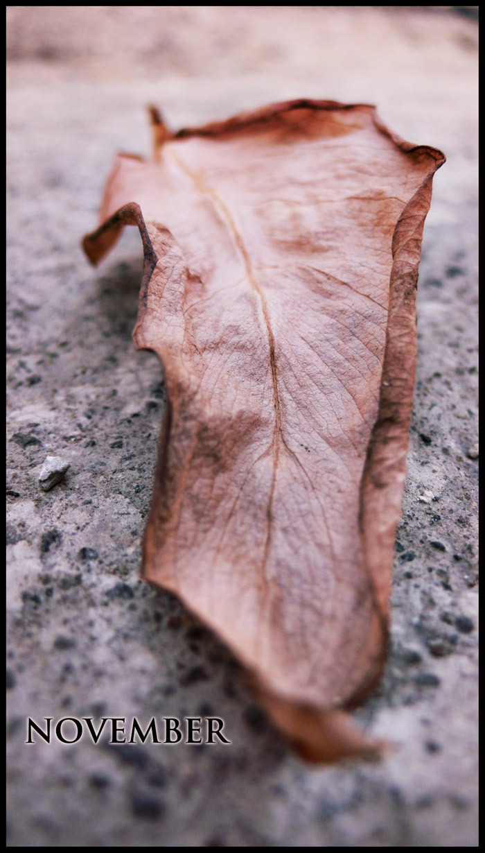 Photography by sausirhi for DesignCrowd (Community Contests) | Design #8957503