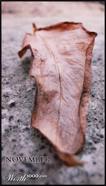 Photography by sausirhi