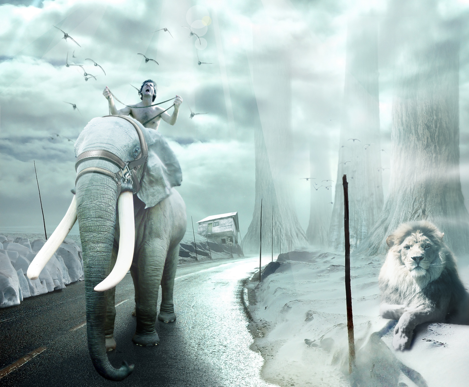 Diseño de Photoshop por pepiqeq para DesignCrowd (Community Contests) | Diseño #8957188