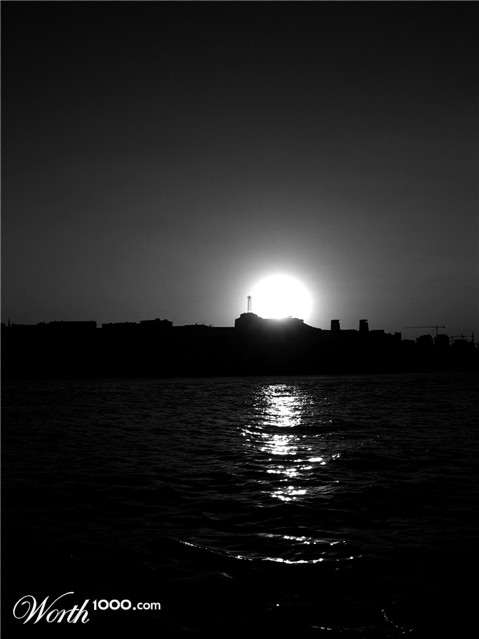 Photography by cybershark