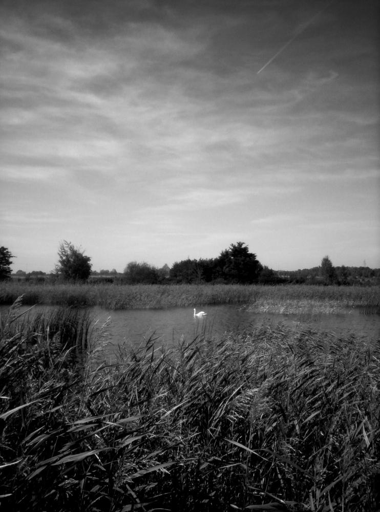 Photography by blackeyedgirl for DesignCrowd (Community Contests) | Design #8955223