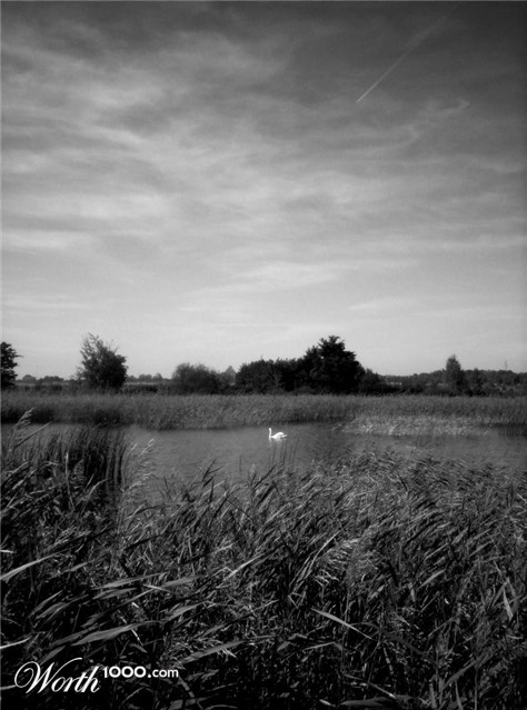 Photography by blackeyedgirl