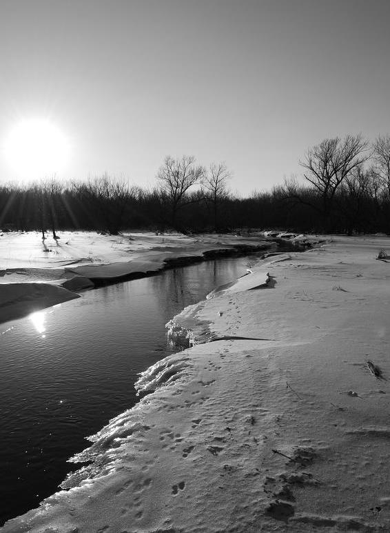 Photographie par amivox pour DesignCrowd (Community Contests) | Design #8955186