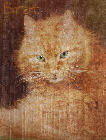 Photography by petsitter for DesignCrowd (Community Contests) | Design #8958080