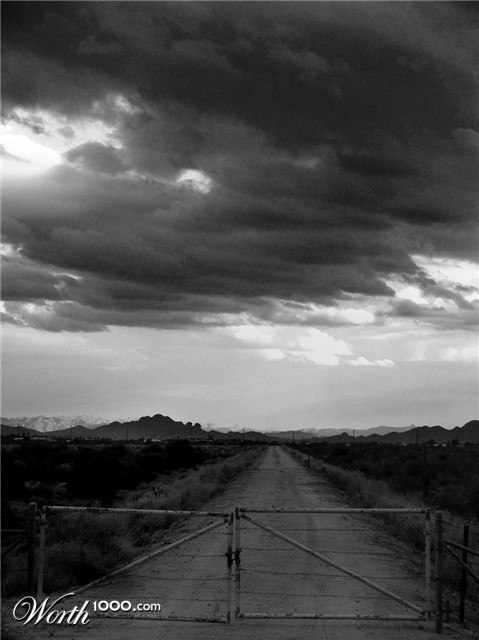 Photography by dimwit91