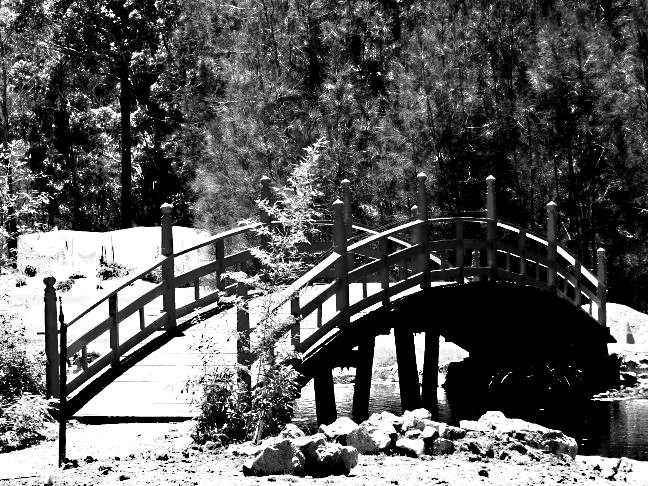 Fotografía por electrickb para DesignCrowd (Community Contests) | Diseño #8955117