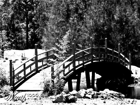 Photography by electrickb