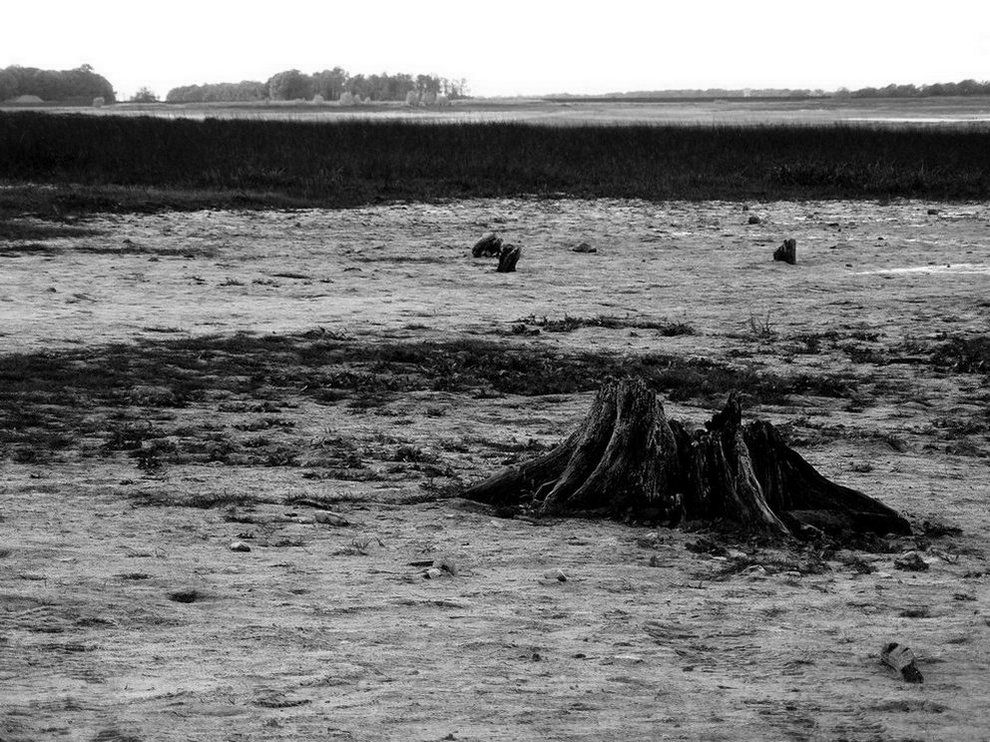 Photography by badapoum for DesignCrowd (Community Contests) | Design #8955137