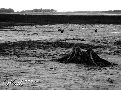 Photography by badapoum