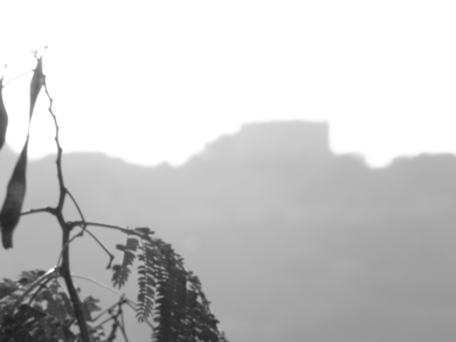 Photography by ifryed for DesignCrowd (Community Contests) | Design #8955179