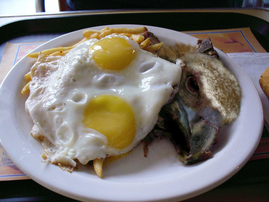 Diseño de Photoshop por montaner para DesignCrowd (Community Contests) | Diseño #8952312