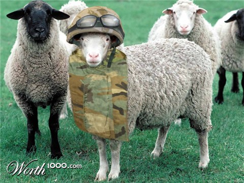 Photoshop Design by Spudley99