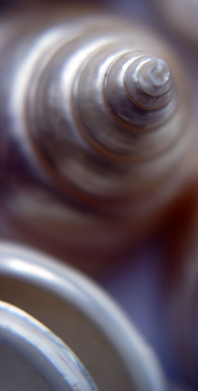 Photographie par JANIELLE pour DesignCrowd (Community Contests) | Design #8957202