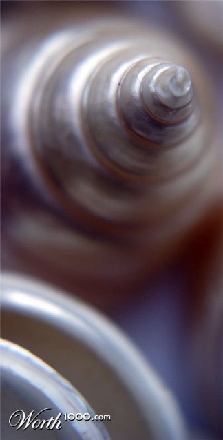 Photography by JANIELLE