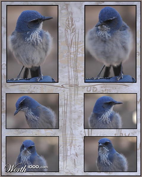 Photography by Lmorrow57