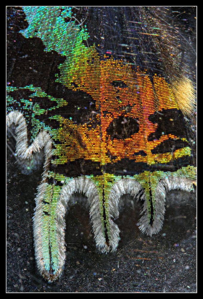 Fotografie von darynman für DesignCrowd (Community Contests) | Design #8957233