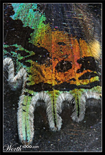 Photography by darynman