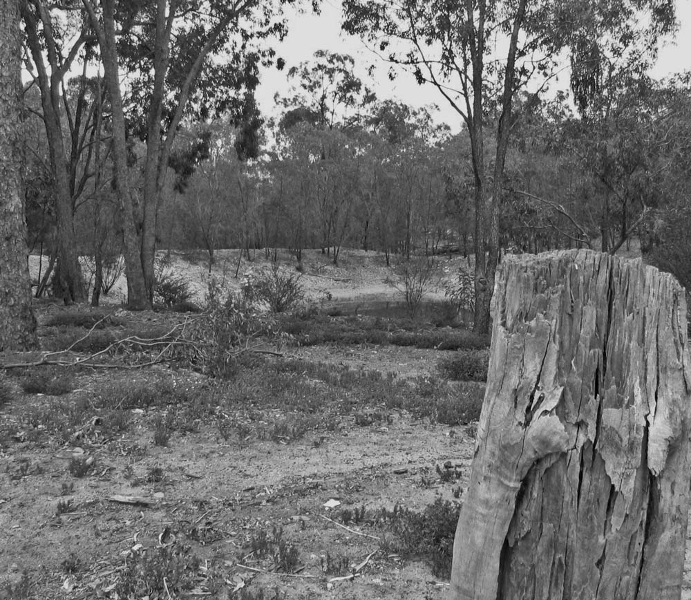 Photography by ICEBUNNY for DesignCrowd (Community Contests) | Design #8955085