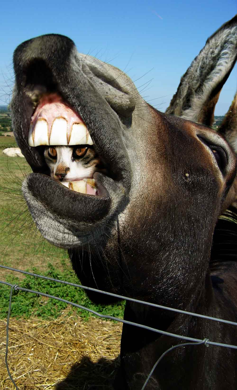 Photoshop Design by philgtaylor for DesignCrowd (Community Contests) | Design #8958784