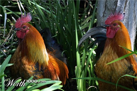 Photography by mhcork