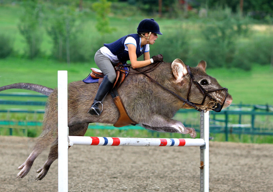 Photoshop Design by ozplasmic for DesignCrowd (Community Contests) | Design #8958863