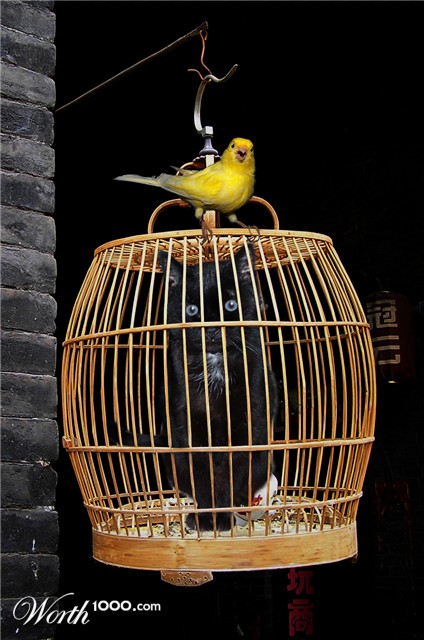 Photoshop Design by podesta67