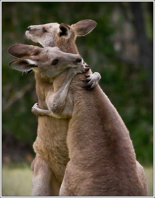 Photographie par mated1976 pour DesignCrowd (Community Contests) | Design #8956825