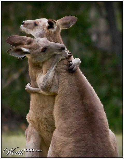 Photography by mated1976